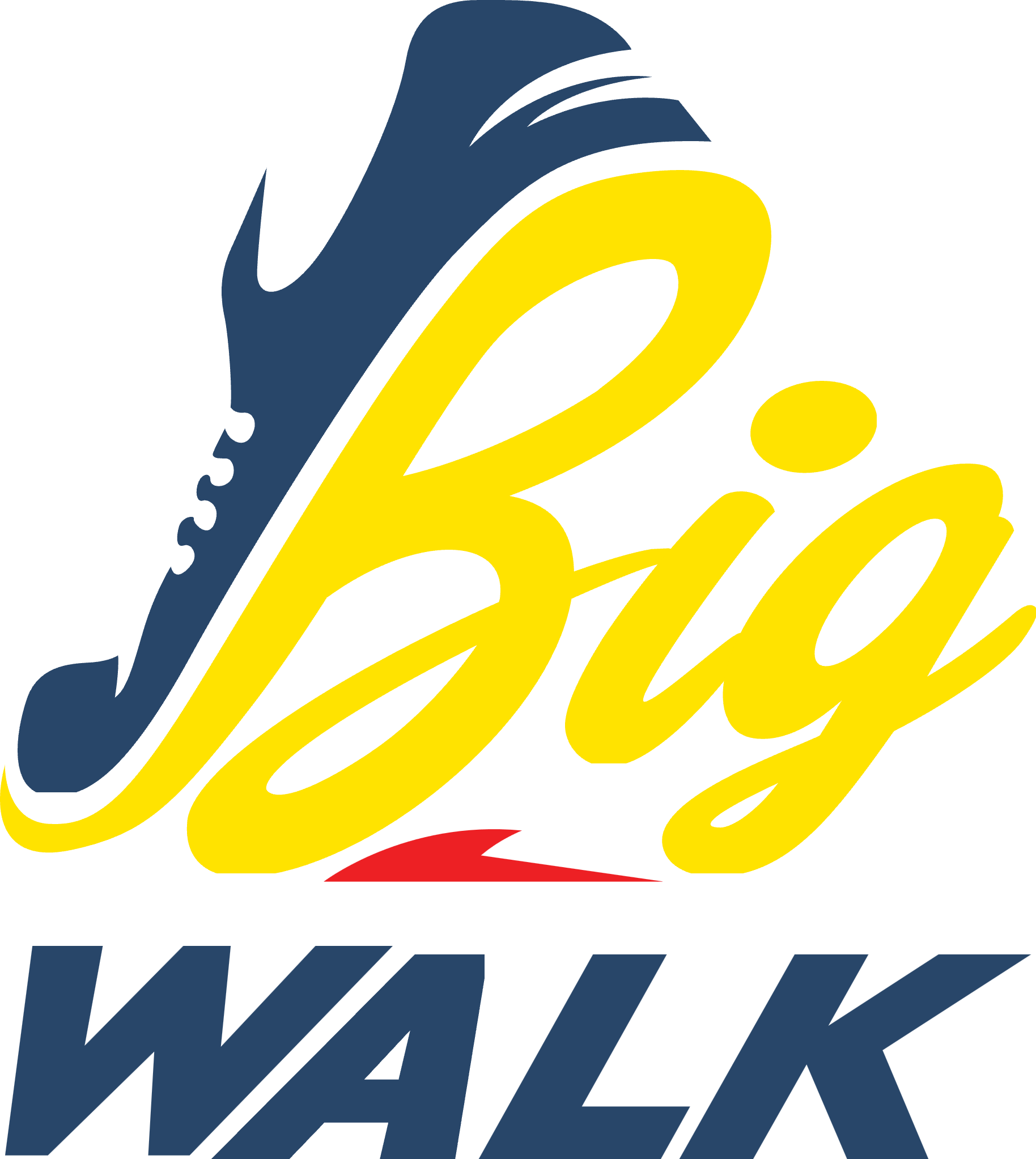 Durban Big Walk